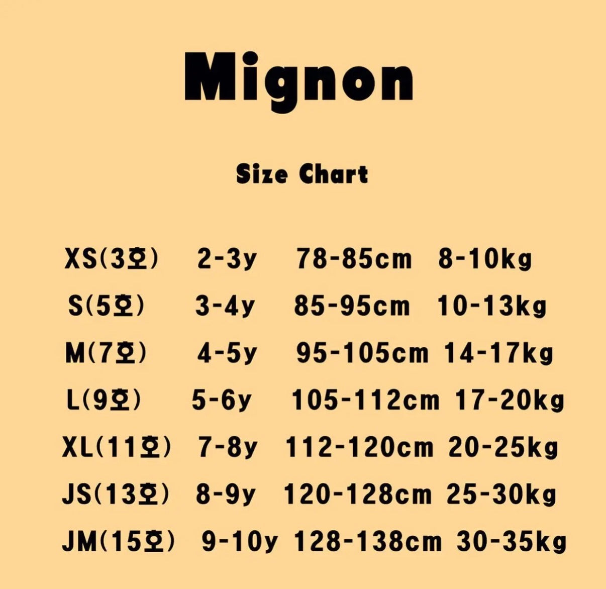 mignon フライT
